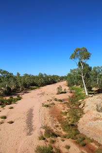 Die Dürre - ausgetrockneter Fluss im Outback by ann-foto