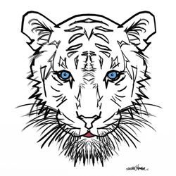 Albino-tiger-bst-1-jpg