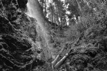 Der Schwarzwald  - Die Wutachschlucht von Ingo Laue