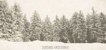 Seasons Greetings3 by Rita Kohel