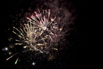 Ein farbenprächtiges Feuerwerk  by Gina Koch