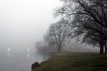 December Fog - Nebel in den Rottauen von Chris Berger