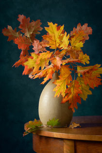 Herbstfarben von Nikolay Panov