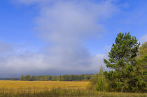 Field. Day. Cloud. by mnwind