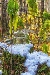 Snow. Stump. Bottle. von mnwind