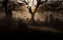 Spooky graveyard by Leighton Collins