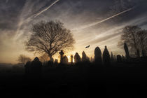 Halloween graveyard by Leighton Collins