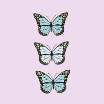 Butterflies collection von lescapricesdefilles
