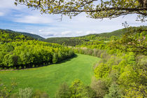 Landschaft mit Wald und Wiese im Thüringer Wald von Rico Ködder
