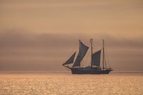 Ein Segelschiff auf der Ostsee im Sonnenuntergang von Rico Ködder