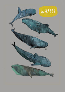 Whales by Inken Gäbel