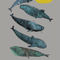 Whales-poster-din-a-3