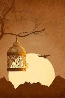 Raus aus dem goldenen Käfig in die Freiheit by Monika Juengling