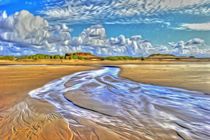 Low tide by John Wain