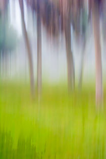 Abstract Moving Trees #1 Background Green by Eugene Norris