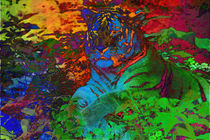 Rainbow Tiger von Blake Robson