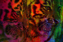Pastel Tiger Cubs von Blake Robson