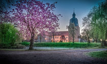 Frühling am Schloss von Andreas  Mally