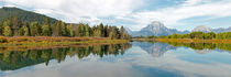 Grand Teton Panorama by Borg Enders