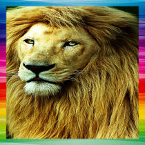 Lion With Rainbow Border by Blake Robson