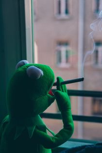 Kermit Smoking by Marcel Fagin