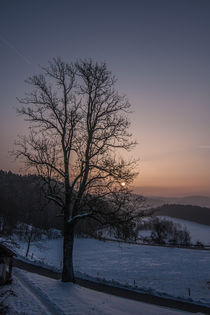 Wintermorgen by Harald Jakesch