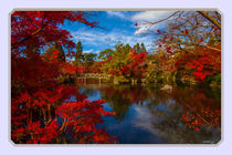 Herbst in Japan by Wolfgang Pfensig