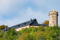 Castle Greifenstein in the forest by mnfotografie