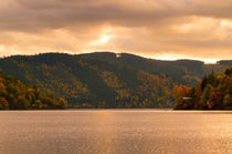 The big Tarn in Thuringia by mnfotografie