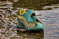 A old Shoe at the Lake by mnfotografie