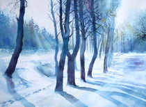 Winterlicht von Thomas Habermann
