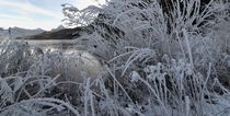 Frostiges Ufer von heiko13