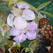 Brombeerblüten von Anne Petschuch