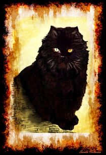 BLACK CAT by Sandra  Vollmann