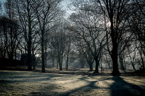 Winter Sun von Colin Metcalf