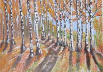 Birken im Herbst von markgraefe