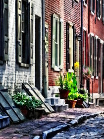Philadelphia Pa Street With Flower Pots by Susan Savad