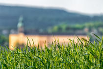 Feld mit Blick auf die Heidecksburg by mnfotografie