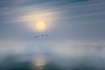 Mondlicht von Andreas Hoops