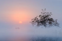 Morgenlicht von Andreas Hoops