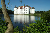 Schloss Glücksburg von Sabine Radtke