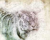 World of the Tiger von Maria Hjerppe