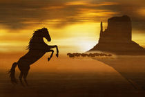 Der wilde Mustang in der Prärie von Monika Juengling