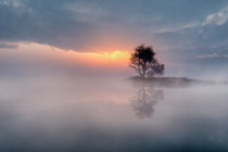 Ascending fog von Andreas Hoops