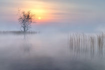 Foggy Lake von Andreas Hoops