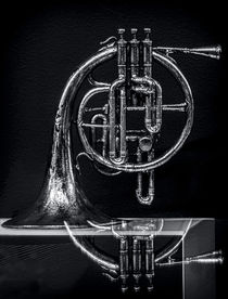 French Horn Beyond a Glass Table by James Aiken