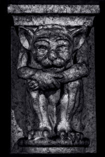 Gargoyle Portrait 1 by James Aiken