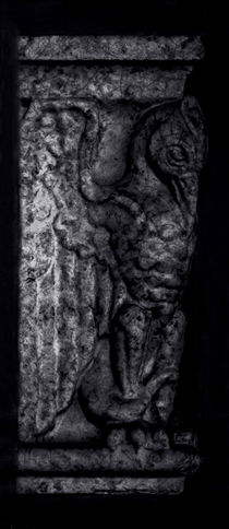 Gargoyle Profile - Right von James Aiken
