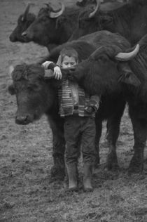 Bull love by Alpar David