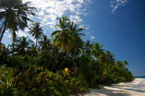Strandsehnsucht Malediven von Sylvia Seibl